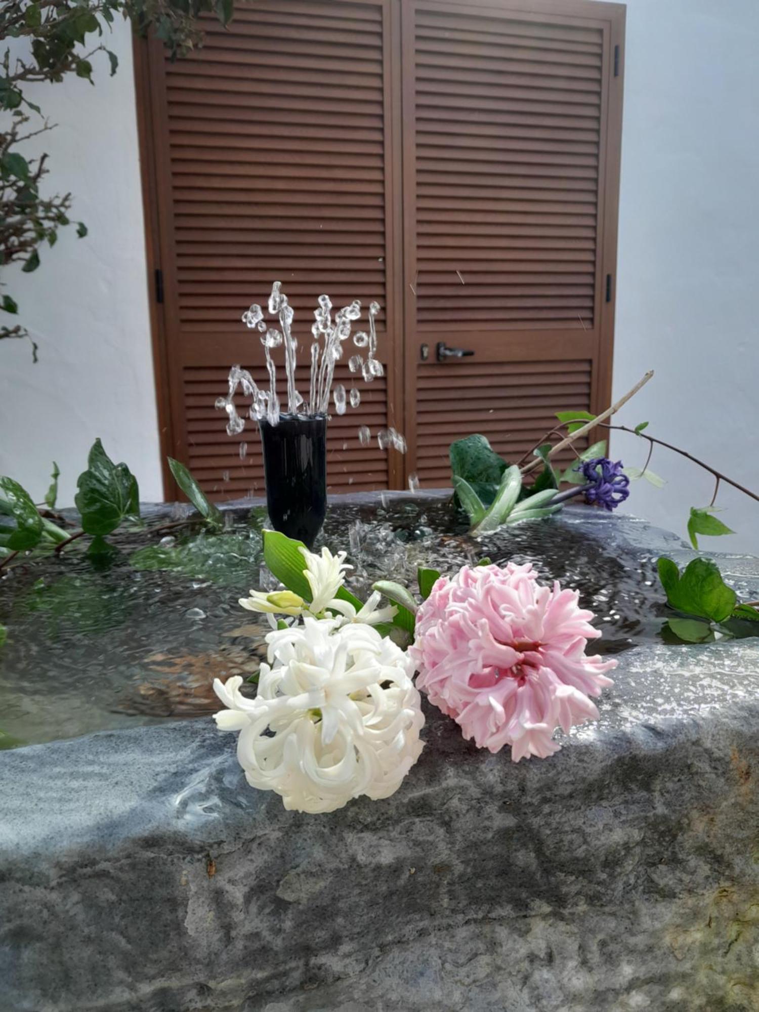 La Ola Country house *